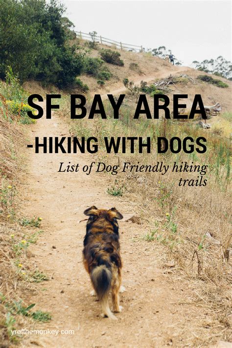 A Dog Walking Down A Dirt Road With The Words Sh Bay Area Hiking With