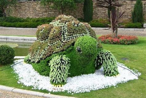 How To Make A Succulent Turtle Garden