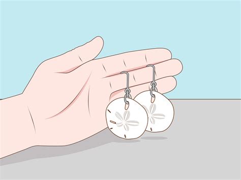 Sand Dollars Can Be Used To Make Beautiful Decorations And Crafts But