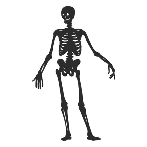 Simple Skeleton Silhouette Transparent Png And Svg Vector File