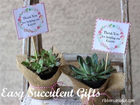 Easy Succulent Gift Idea With Printable