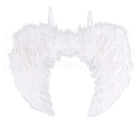 Halloween Angel Wings For Dogs Red Black Or White Or Pink Dog Etsy