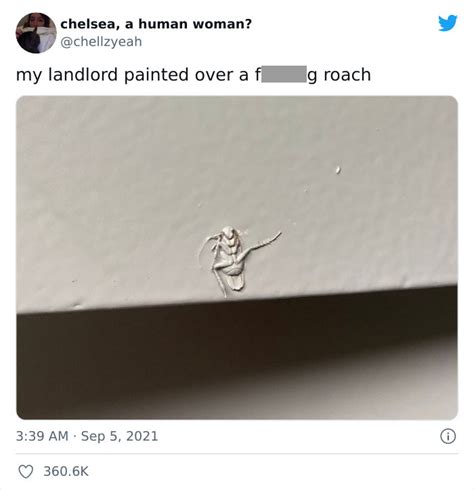 Texas Woman Shares How Her Landlord Painted Over A Roach And The