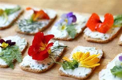 12 Edible Flower Inspiration Ideas Recipes Tea Sandwiches Tapas