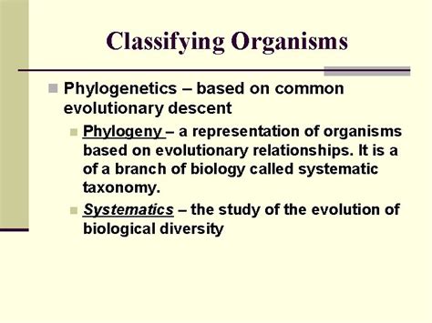 Taxonomy Classification Of Organisms What Is Classification N