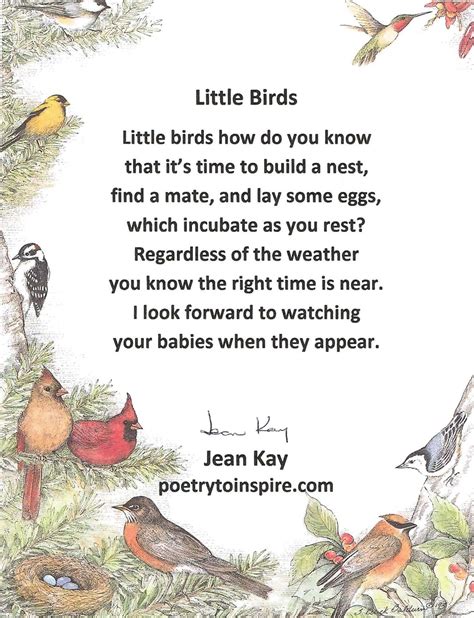 Little Bird Poem Bird Poems Little Birds Bird Quotes