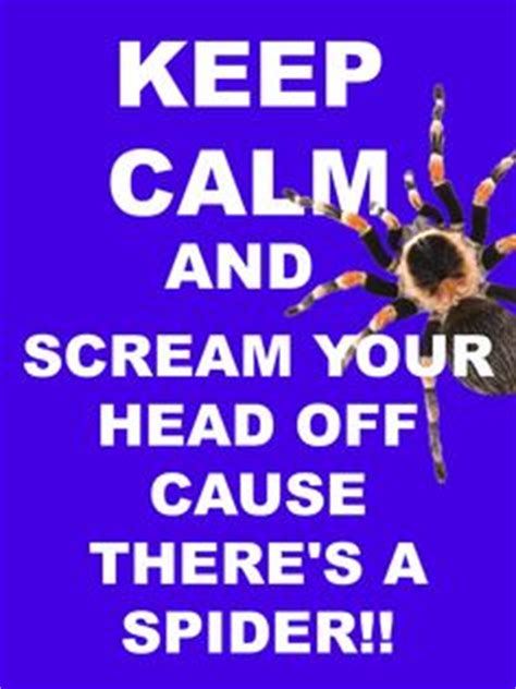 Maybe you would like to learn more about one of these? quotes and funny sayings on Pinterest | Spiders, Point Of View and The Rules