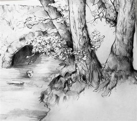 18 Pencil Drawings Of Nature That Will Make You Want To Be An Artist