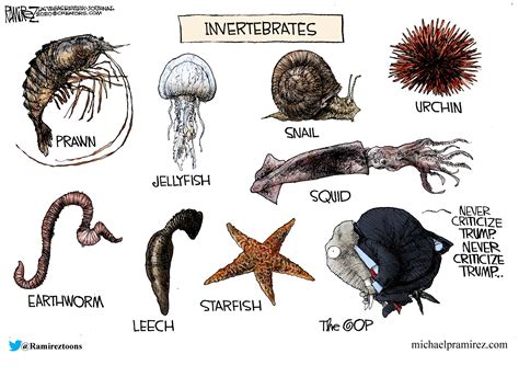 Invertebrates Issues And Insights