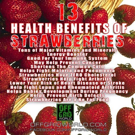 13 Health Benefits Of Strawberries Off Grid World