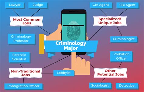 Our bachelor's in criminal justice is offered entirely online with no requirement to come to our campus. 12 Jobs For Criminology Majors | The University Network