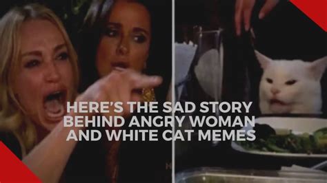 Cat Meme Vs Woman