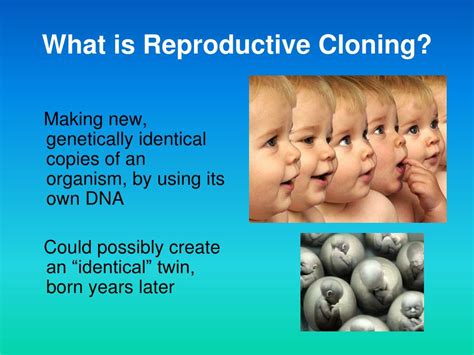 What Is The Difference Between Cloning And Stem Cell Research