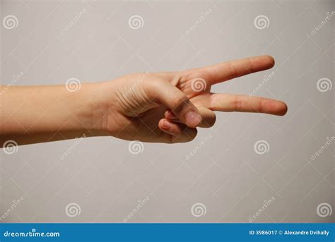 Hand With Two Fingers Extended Stock Image CartoonDealer Com 3986017