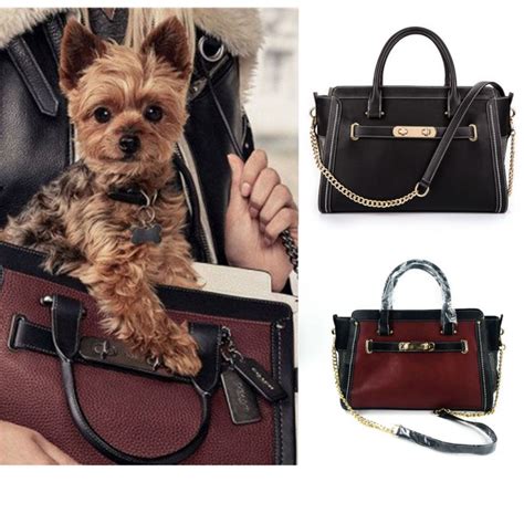 Celebrities and media figures have been. Aliexpress.com : Buy Designer Leather Dog Carrier Carrying ...