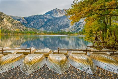 Maybe you would like to learn more about one of these? Postcard: The Week That Was - California Fall Color