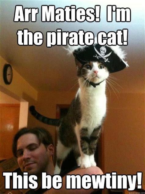 2 Pirate Cat Funny Pictures Dump A Day