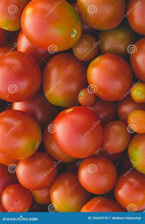 Mountain Tomato Top View Stock Photo Image Of Shiny 76622978