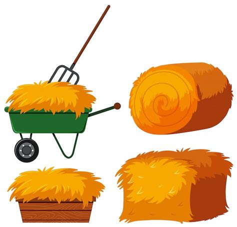Dry Hay In Bucket And Wagon Vector Premium Download