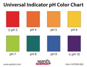 When universal indicator is added to a solution, the color change can indicate the approximate ph of the solution. Universal Indicator Color Charts | Sargent Welch