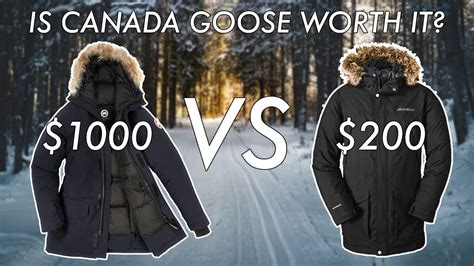Is A Canada Goose Jacket Worth It Canada Goose Review Youtube
