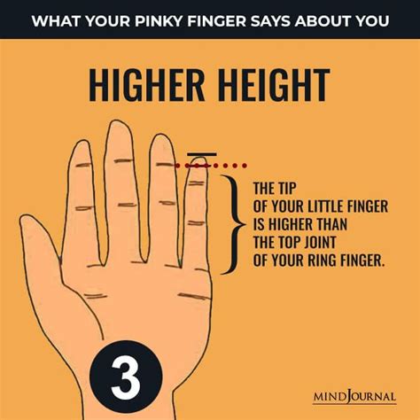 What Does Your Pinky Finger Say About You In Sayings Finger Meaning Palmistry Reading