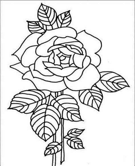 Red Rose Coloring Download Red Rose Coloring For Free 2019