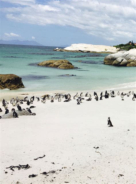 E 8 Best Beaches South Africa That Is Well Worth A Visit South Africa