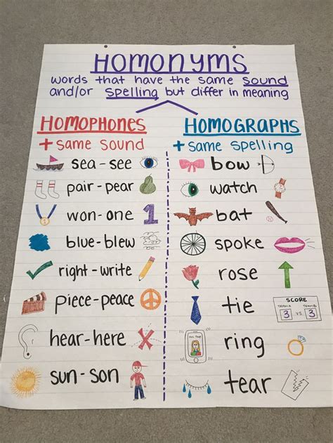 Homonyms Homophones Homographs Elementary Learning Classroom