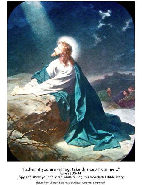 bible story pictures jesus in the garden of gethsemane the scripture lady