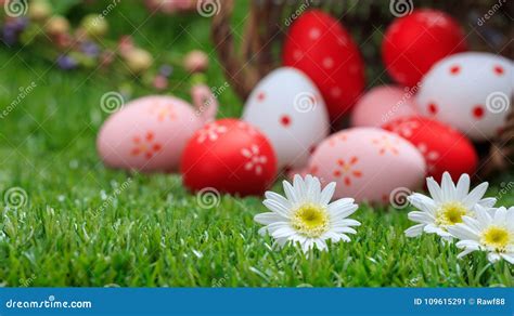 Easter Concept White Daisies On Green Grass Blurred Easter Eggs