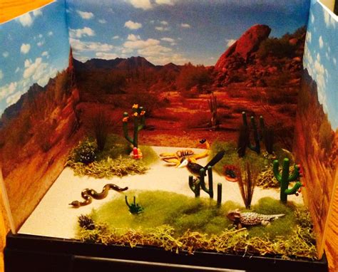 3d School Projects Desert Diorama Diorama Kids Biomes Project