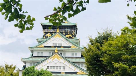 Osaka castle and the pleasant park grounds surrounding it make for a relaxing escape from the city's concrete sprawl. Exploring Osaka Castle Park / Osaka Japan Travels 2019 ...