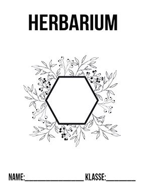 Herbarium mit 10 wiesenpflanzen mit wurzel und blüte preis: Herbarium Deckblatt in 2020 | Deckblatt, Herbarium vorlage ...