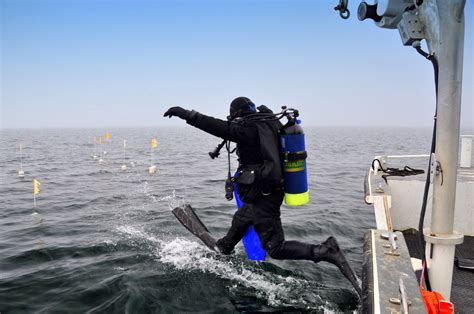 Download Scuba Diving Jump Into Ocean Wallpaper