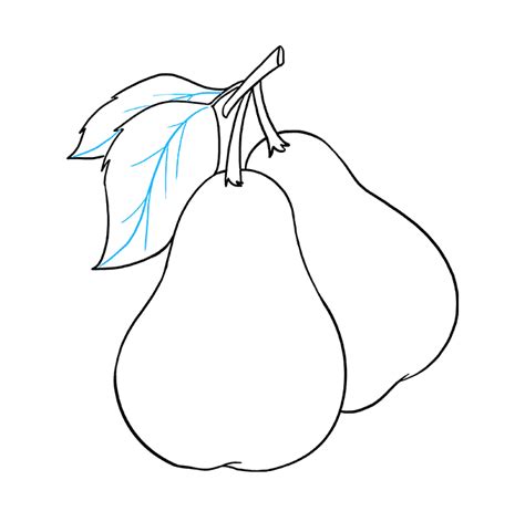 Pear Drawing For Kids