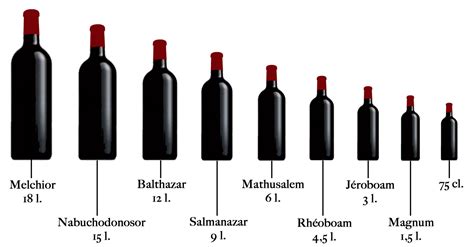 Magnum Size Wine Bottle Al Sur Wines Experience