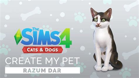 Sims 4 Create A Pet Lets Create My Cat 🐱 Youtube