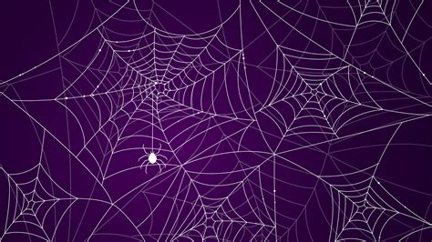 Kid Spider Web Wallpaper Hd Rodenberlin