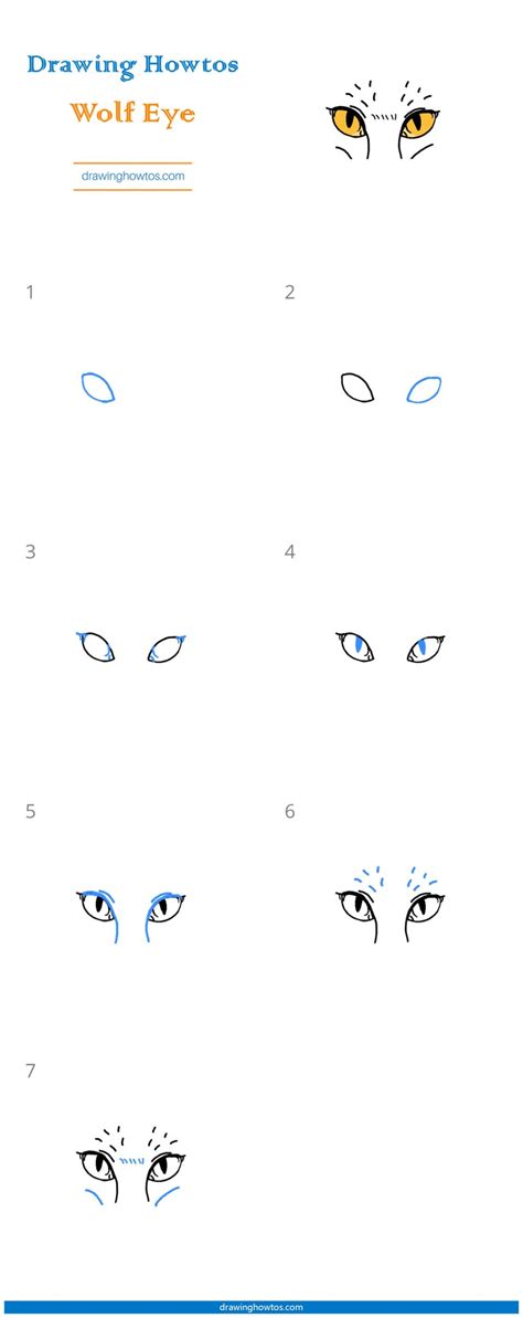How To Draw Wolf Eyes Step By Step Easy Drawing Guides Drawing Howtos