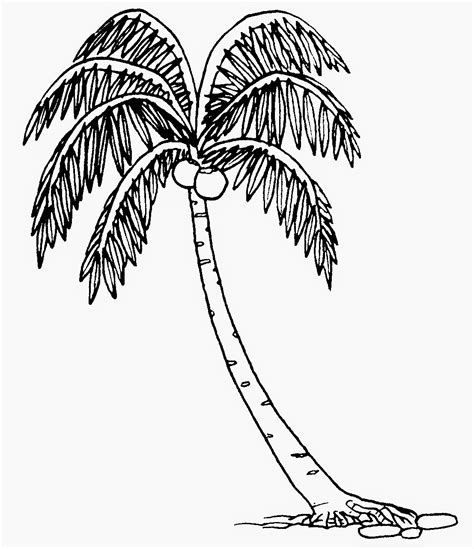 Gambar apel untuk mewarnai gambarrrrrrr via gambarrrrrrr.blogspot.com. Dunia Sekolah: Gambar Hitam Putih (Drawing) - Bunga & Pokok