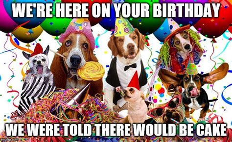 Here is my personal collection of the top 45 funniest happy. Birthday (With images) | Dog themed, Party time, Dog party