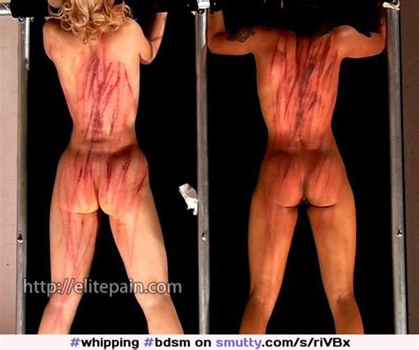 Whipping Bdsm Singletail Welts Smutty Com