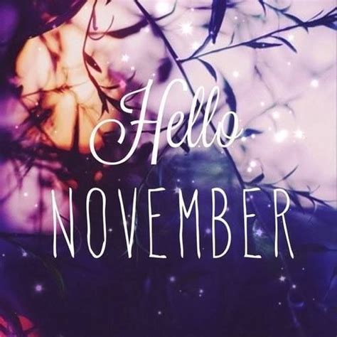 Hello November Pictures Photos And Images For Facebook Tumblr