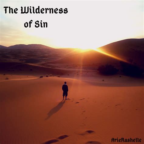 The Wilderness Of Sin Holdtohope