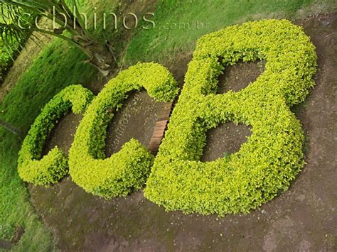 Se inscrevam no canal para não perder. HINOS NOVOS CCB TOCADOS | coisas pra ver