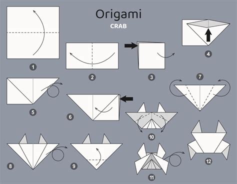 Esquema De Origami De Cangrejo Tutorial Elementos De Origami Aislados