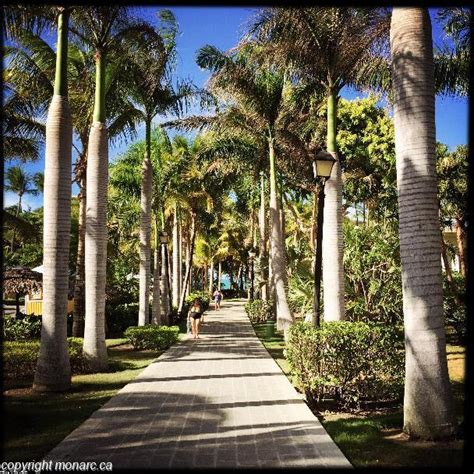 À partir de 1185$ 999$ trop tard! Reviews for Riu Bachata, Puerto Plata, Dominican Republic ...