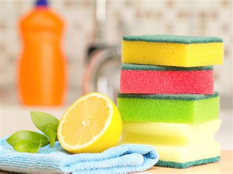 4 Easy Methods To Clean Your Kitchen Sponges Free From Bacteria Blog Archives By Rentmetoday