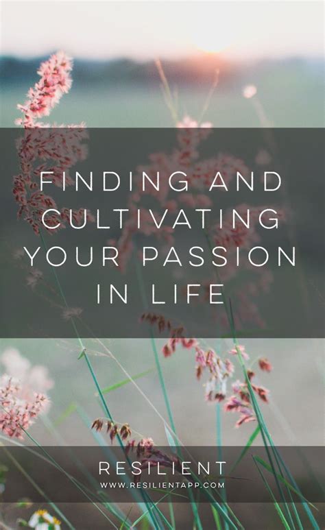 How To Find Your Passion In Life Finding Yourself Passion Finding Purpose